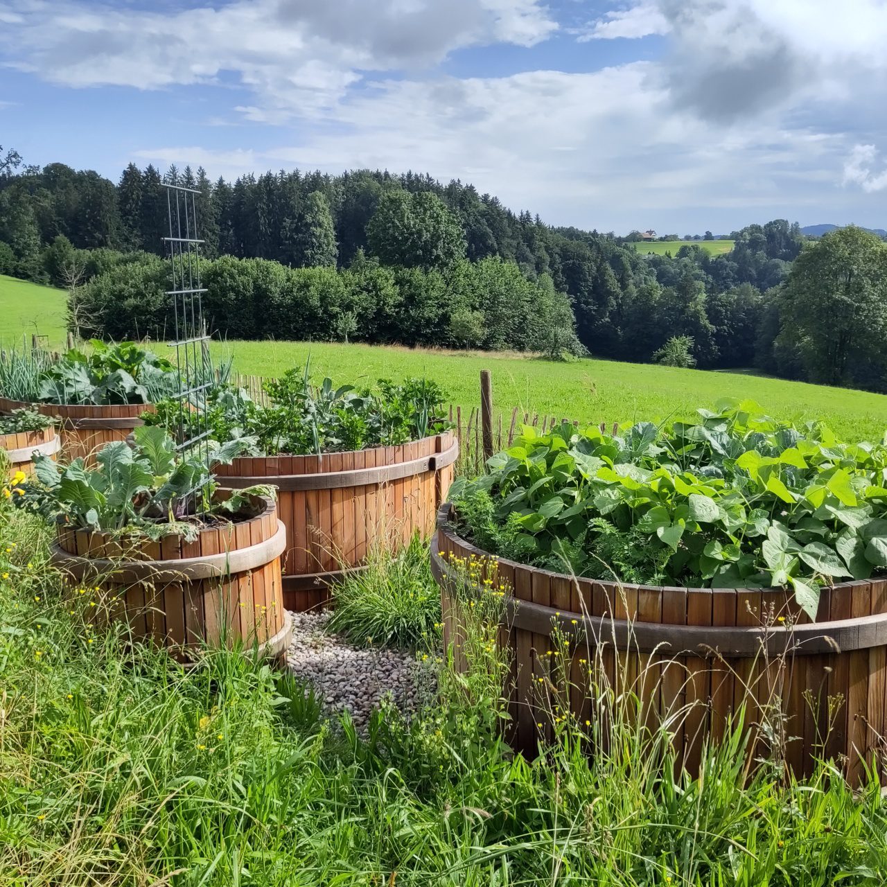 Rundhochbeet Lärche